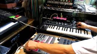 Dub Session 02 with Roland SH2  Korg ER1  RE101 [upl. by Olegnaed]