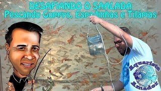 DESAFIANDO O SAALADA Pescando Guppys Espadinhas e Tilápias [upl. by Ytinav]