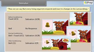 Stimulus  Control and Coordination  Science  Class 10th  iPrep [upl. by Eltsirk]