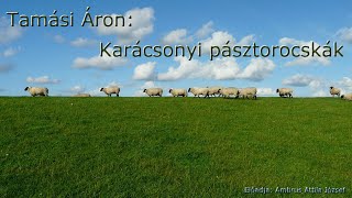 Tamási Áron Karácsonyi pásztorocskák [upl. by Alorac225]