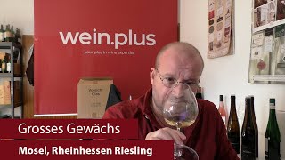 Grosses Gewächs  Nachproben 2024  Mosel Rheinhessen Riesling [upl. by Bauske]