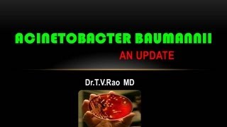 Acinetobacter baumannii PowerPoint Presentations [upl. by Inaboy470]