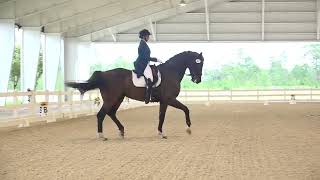 Sanford and Jaralyn Gibson Grand Prix Wellington Classic Dressage June 30 2024 [upl. by Swayne]