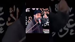 allama asif raza alvi youtubeshorts majlis [upl. by Marcello347]