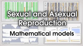 Sexual and asexual reproduction Mathematical models [upl. by Liam]