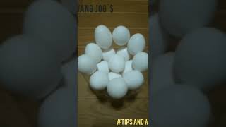 Egg dispenser diy tips diy views everyone everyonefollowers ytshorts shortvideo [upl. by Doreen]