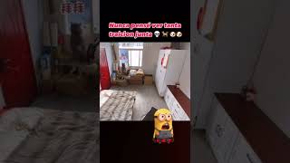 LA MAYOR TAICION😂​ funny divertido risas gatos perros china chinese [upl. by Acinod]