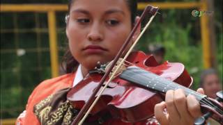 40° Feria Nacional del Mole San Pedro Atocpan [upl. by Fredek]