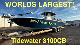 World’s Largest Bay Boat Tidewater 3100 Carolina Bay [upl. by Diena625]