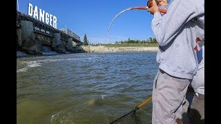 Fishing a HUGE DAM for MONSTER FISH  CATFISHING [upl. by Xenos192]