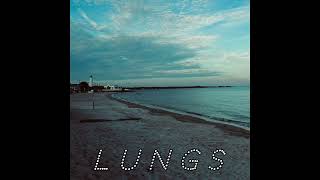 Lungs Townes Van Zandt Cover  Michael S [upl. by Onstad]