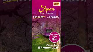 Japan Tour  Smiles Holidays  Tours amp Travel Company  Pune [upl. by Kilan975]