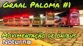 Graal Paloma 1  Movimentação de Ônibus  Viação Garcia e Catarinense dominando a PARADA [upl. by Eremehc]