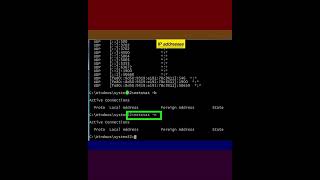 How to Use the Netstat Command [upl. by Airol]