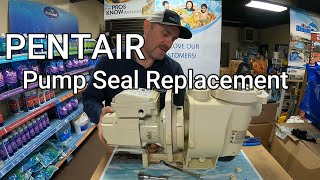 Pentair Whisperflo Pump Seal Replacement How to replace a Pentair Whisperflo Pool Pump Shaft Seal [upl. by Romaine]