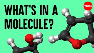 The science of macaroni salad Whats in a molecule  Josh Kurz [upl. by Aneek]