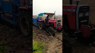 Massey 246 4wd full power in the mud tractorfarmingviralvideoshortstrending [upl. by Leahcimnaj]