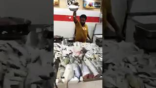 Malu kitchenfood  Fish varietys [upl. by Ahsinek18]