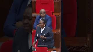 Kiswahili kinaweza kutuingizia fedha za kigeni bunge [upl. by Anerok831]