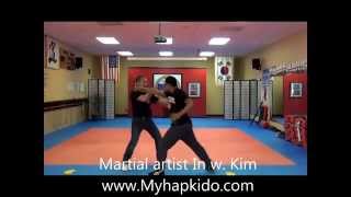 Hapkido punch defense [upl. by Rehtse]