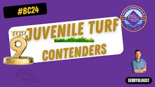 Breeders Cup Juvenile Turf 2024 Contenders [upl. by Babb]