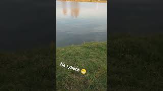 Na rybach 👍 fishing relaxing [upl. by Flodur304]