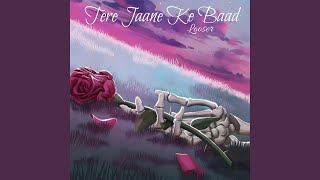 Tere Jaane Ke Baad [upl. by Hoeve]