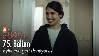 Eylül eve geri dönüyor  Kırgın Çiçekler 75 Bölüm  atv [upl. by Adiuqram]