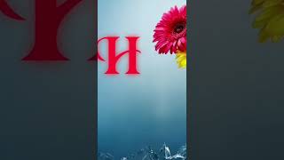 Name letter H S N 💝💕💞💖short subscribe me [upl. by Eidac]