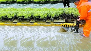 Quick Tips Drain Heroes Success Stories of Unclogging Storm Drains to Relieve Flooded Streets [upl. by Atir]