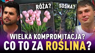 Co to ZA ROŚLINA PRZYKŁADY z PODSTAWÓWKI 5 PKT to MINIMUM [upl. by Lahcear]