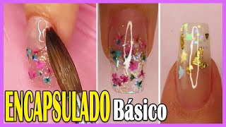 0621 ENCAPSULADO BÁSICO en Uñas Acrílicas para PRINCIPIANTES 💗 Curso GRATIS Uñas Acrílicas [upl. by Dilks]