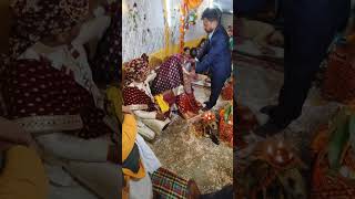 Chunari rasam 0divloveammu wedding love shadi marriage happy shaadi [upl. by Ghassan]