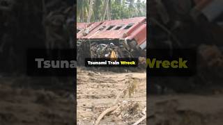 5 Most Shocking Train Disasters in History shorts history TrainDisasters SriLanka TrainWreck [upl. by Ylrbmik]