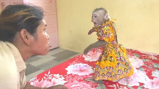 Cutest Baby Monkey Jessa To Mom Moments [upl. by Kisung974]