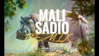 MANDINGUIE INSTRUMENTAL  MALI SADIO REMIX KORA  BEAT FROM MALI  PROD BY KYZZE PRO MAX 2023 [upl. by Amzaj]