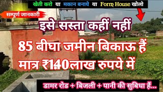 85 बिघा जमीन बिकाऊ है मात्र 140 लाख रुपए में agriculture land for sale [upl. by Halona]