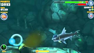 How to find the kempy bass in hungry shark Happy shark week [upl. by Aivek]