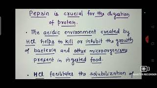 Role of HCl in stomach Class 11 Biology Ch16 Digestion amp Absorption [upl. by Rees]