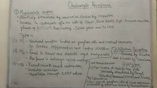 Muscarinic and nicotinic receptors [upl. by Lapham]