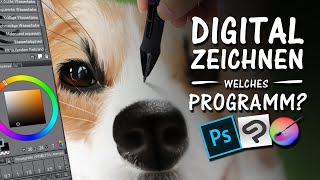 DIGITAL ZEICHNEN  Welches Programm ist für dich  Drawinglikeasir [upl. by Honig]