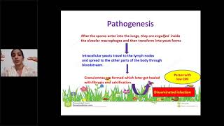 A Class On Systemic Mycoses By Dr Sobha Department Of Microbiology [upl. by Lehar]