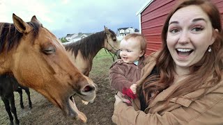 Niko rides BABY SPIRIT the horse Feeding farm animals [upl. by Kamerman]