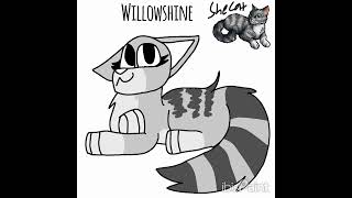 Willowshine RiverClan Warrior Cats Speedpaint Belongs to Erin Hunter [upl. by Ittap]