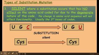 611 Cellular control a Gene mutations [upl. by Earal]