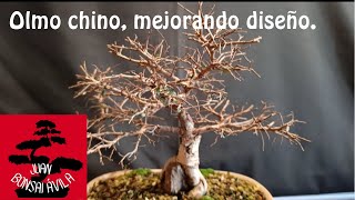 Bonsai olmo chino olmo parvifolia restructuración alambrado y poda [upl. by Genesia589]