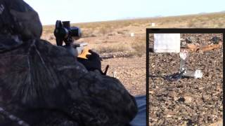 Ruger 1022 vs Flip Shot Target [upl. by Willette]