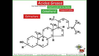 Esteroides  Ácidos grasos Parte XIV [upl. by Shere]