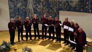 Männerchor Judenbach  Belcanto  quotKüssen verbotenquot  140 Jubiläum  09062018 [upl. by Aivekal]