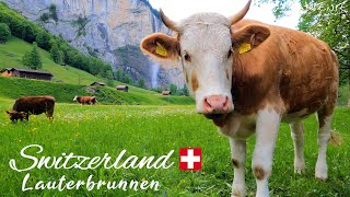 LAUTERBRUNNEN Village and Valley  Paradisiacal Switzerland  4K UHD 60fps Video [upl. by Garrard]